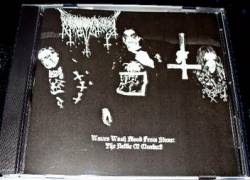 Waves Wash Blood From Stone: The Battle of Clontarf